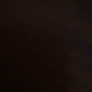 Meet your Posher, Sophie